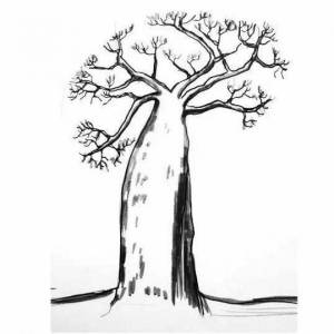 Раскраски Баобаб