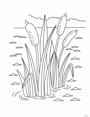 Раскраска Болото