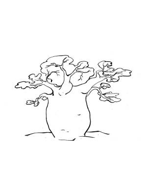 Раскраска Баобаб