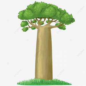 баобаб дерево иллюстрации PNG , Png дерево, баобаб, дерево PNG картинки и пнг PSD рисунок для й загрузки