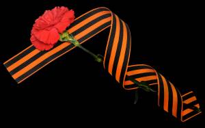 Гвоздика и ленточка