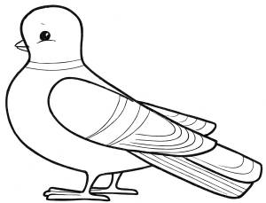 Раскраска Маленький голубь