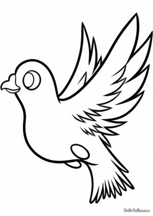 Раскраска голубь