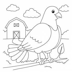 Раскраска голубь для детей