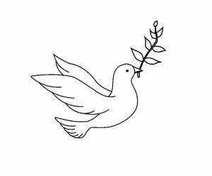 Раскраска Голубь мира