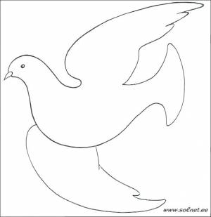 Картинка голубя раскраска
