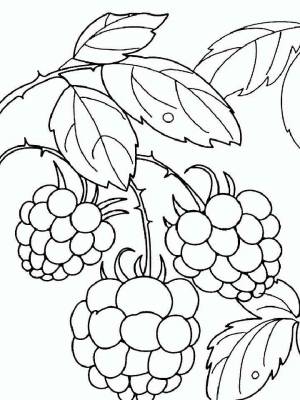 Раскраска Малина  для мальчиков