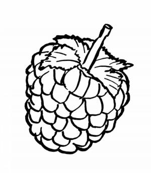 Раскраски Малина