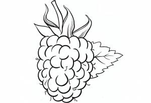 Раскраска ягода малина для детей