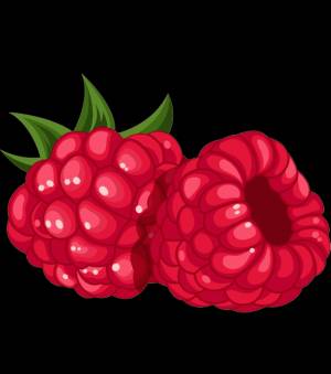 Раскраска Малина