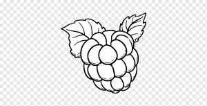 Рисунок Красной малины Книжка-раскраска Живопись, малина черная и белая, белый, лист, рука png