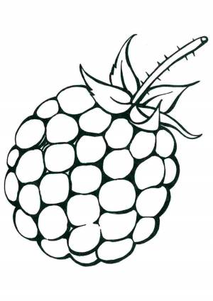 Раскраски, Малина