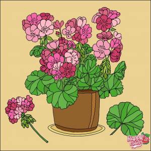 Рисунок герань для детей