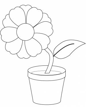 Комнатные растения раскраска