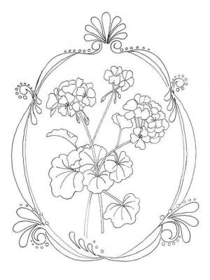 Раскраски Герань