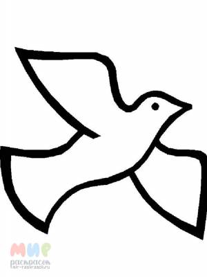 Раскраска Голубь
