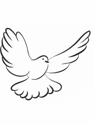 Раскраска Голубь  для детей