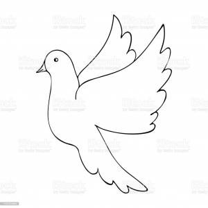 Раскраска голубя