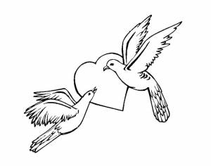 Раскраски голубь мира, Сайт раскрасок