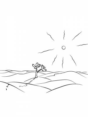 Раскраски Пустыня   в формате