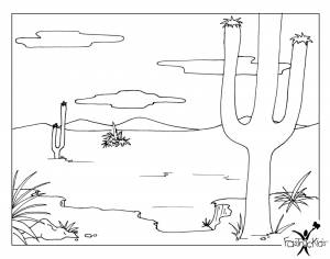 раскраски пустыня
