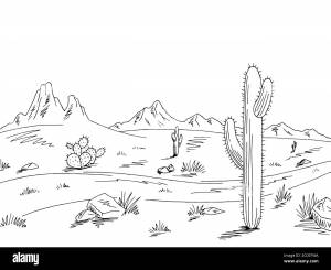 Цветы пустыни