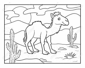 Пустыня раскраска