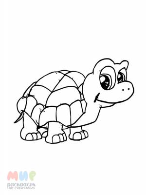 Раскраска Черепаха быстро сказка сказывается