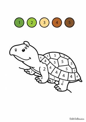 Раскраска Черепаха по цифрам