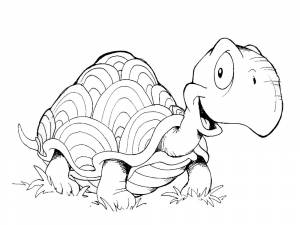 Раскраска Черепаха