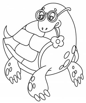 Раскраски мультяшная черепашка