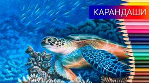 Как нарисовать морскую черепаху ✎ рисунок цветными карандашами ✎ таймлапс