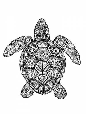 Раскраска Черепаха Антистресс картинка на листе  для мальчиков