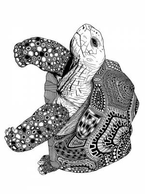 Раскраски Черепаха Антистресс   в формате