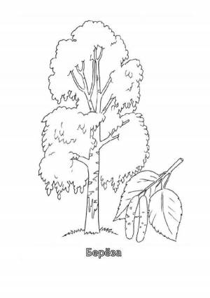Раскраски Тополь для детей