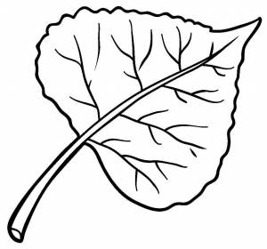 Листья тополя осенью