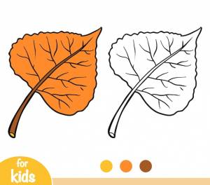 Книжка-раскраска для детей, лист черного тополя