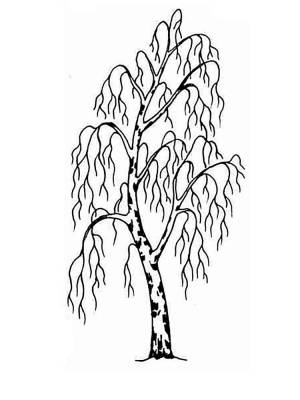 Раскраски Дерево без листьев