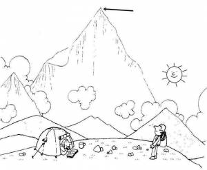 раскраска тополь