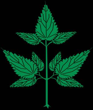 Легкий рисунок крапивы