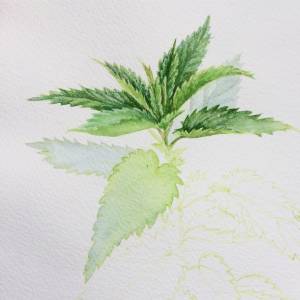 Утром было время порисовать