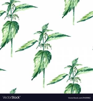 Легкий рисунок крапивы