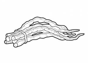 Книжка-раскраска для детей, овощи, китайская фасоль