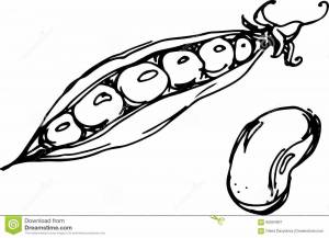 Раскраски Фасоль для детей