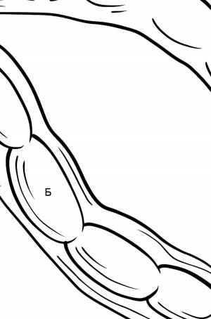 Раскраска Фасоль для малышей