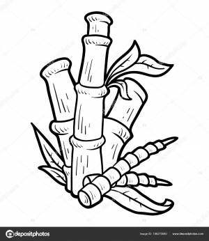 Книжка раскрасок, Бамбук Векторное изображение ©ksenya_savva 186270080