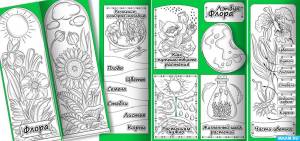 Строение фасоли