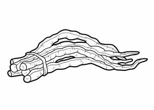 Раскраски Фасоль