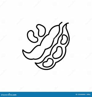 Бобы рисунок