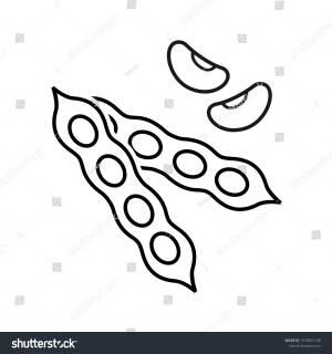 Бобы рисунок